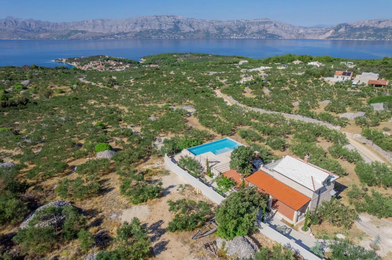 Olive Park House Brac Villa Povlja  Exterior photo